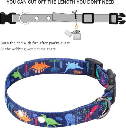 Rhea Rose 3/4 Inch Replacement Collar Strap Shock Collar with 2 Holes, Compatible with Nearly All Brands and Models of Underground Electric Dog Fences and Training Collars, Blue Dinosaurs