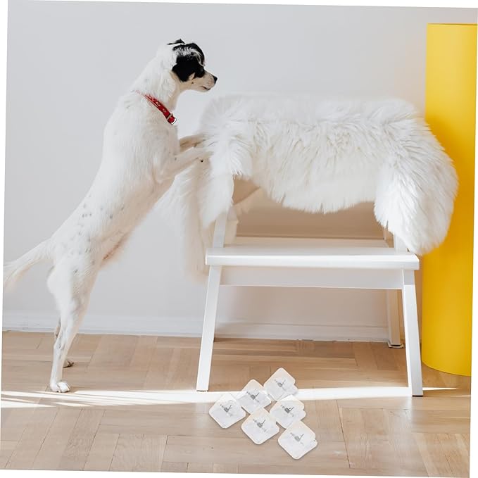 BESPORTBLE 6pcs Dog Pee Pad Holder Transparent Adhesive Wall Tray for Indoor Potty System Strong Adhesion Dog Training Pad Clip Reduces Accidents Supports Housebreaking