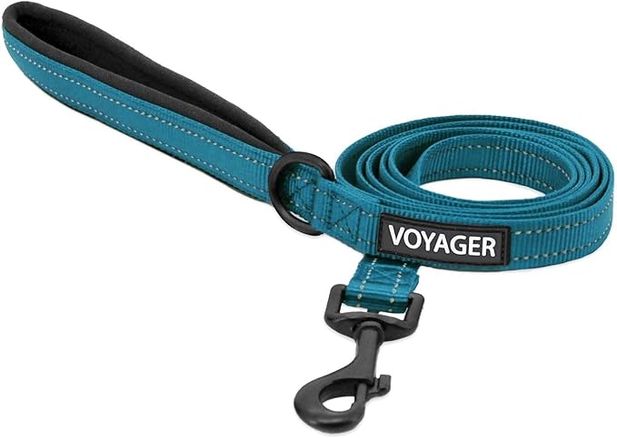 Best Pet Supplies Voyager Reflective Dog Leash or Collar with Neoprene Handle, for Small, Medium, and Large Breed Puppies, Cute and Heavy Duty for Walking, Running and Training - Turquoise (Leash), L
