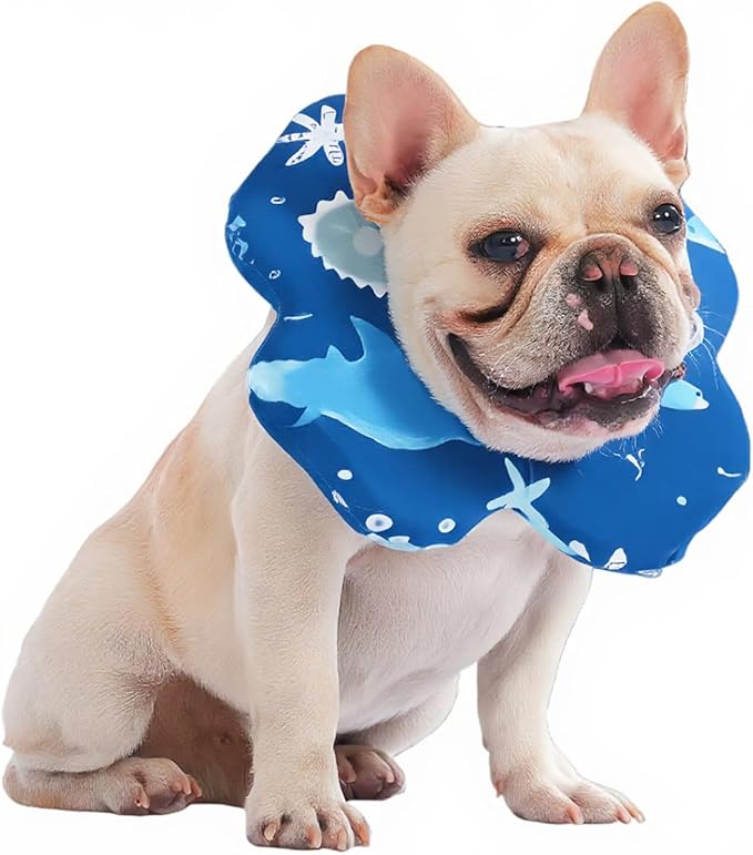 PetWarm Dog Recovery Collar, Recovery Collar for Dogs, Lightweight Soft Flower Design, Comfortable Neck Protector Helps Discourage Licking, Post-Visit Protective Collars, Animal Print, Blue, S