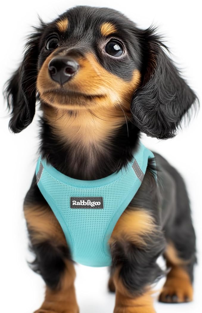 rabbitgoo Small Dog Harness, Step-in Soft Mesh Puppy Vest with Safety Buckle, Breathable Reflective Pet Harness for Extra Small Dogs, Mint Blue XXS