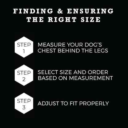 Wolfgang Heavy Duty Adjustable Dog Harness, Pull-Tested to Over 800 lbs for Walking & Training, SunsetPalms Print, Medium