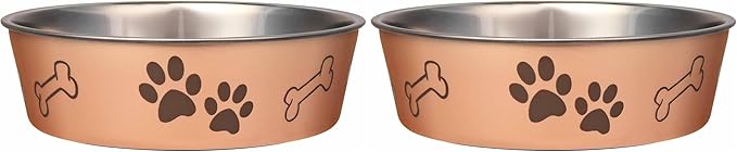 Loving Pets Bella Dog Bowls- Stainless Steel Dog & Cat Bowls - Spill Proof Dog Food Bowl, Cat Bowl, Puppy Essentials & Pet Supplies Great for Home & Travel (Medium 20-35 lbs, Champagne) (Pack of 2)