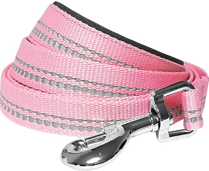Blueberry Pet 3M Reflective Pastel Color Dog Leash with Soft & Comfortable Handle, 5 ft x 3/4", Baby Pink, Medium, Leashes for Dogs
