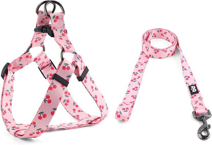 QQPETS Dog Harness Leash Set Adjustable Heavy Duty No Pull Halter Harnesses for Small Medium Large Breed Dogs Back Clip Anti-Twist Perfect for Walking (M(19"-26" Chest Girth), Sakura Pink)
