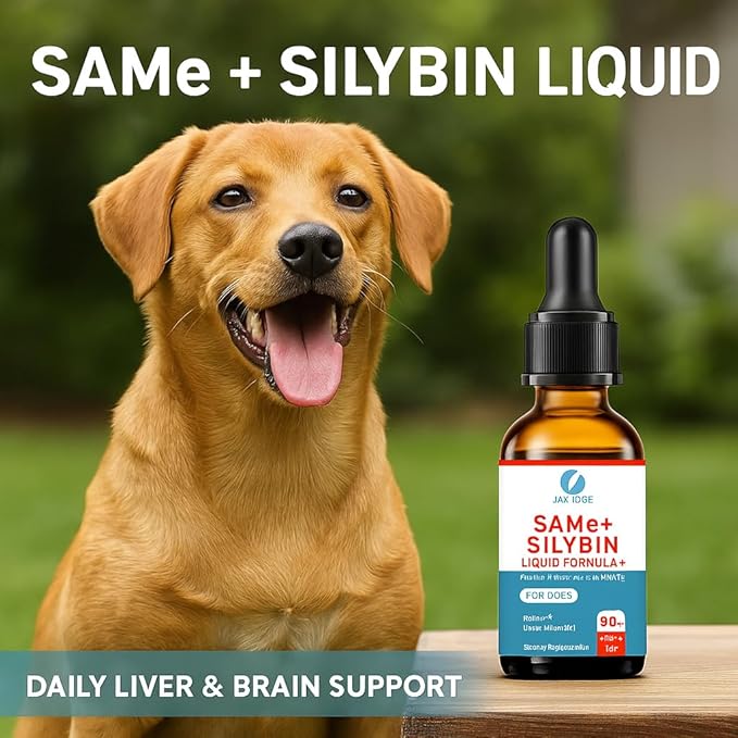 SAMEe for Dogs 500mg Liquid Drops with Silybin – Bacon Liver Flavored Liver Support Supplement for Dogs – S-Adenosyl Methionine & Milk Thistle Extract – 30ml (1oz)