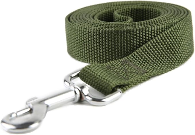 Nylon Dog Training Leash, Traction Rope, 4Ft /5 Foot /6 Feet Long, 5/8 inch 3/4 Inch 1 Inch Wide, for Small and Medium Dogs (5/8'' x 4 FT, Green)