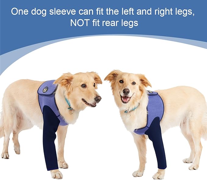 Coodeo Dog Recovery Suit, Cone Collar Alternative, Abrasion Resistant Dog Recovery Sleeve, Washable 2.5mm Thick and Waterproof, Pet Wounds Prevent Licking, Bite, Keep Dry（Purple，S
