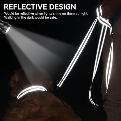 Joytale Dog Leash, 4 FT Double-Sided Reflective, Padded Handle Nylon Heavy Duty Leashes for Medium & Large Dogs Walking, Black