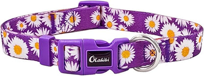 Dog Collar and Leash Set, Cute Daisy Pattern, Polyester Material, 5ft Leash, for Puppy Dogs.(Extra Small,Purple Daisy)