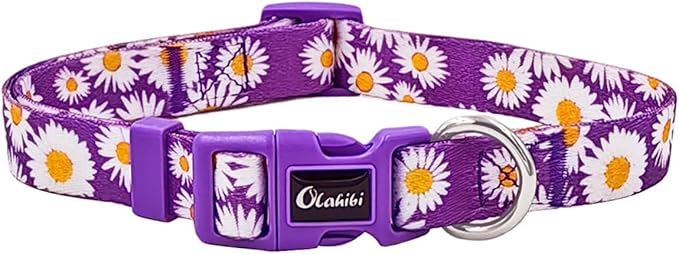 Dog Collar and Leash Set, Cute Daisy Pattern, Polyester Material, 5ft Leash, for Large Dogs.(Large,Purple Daisy)