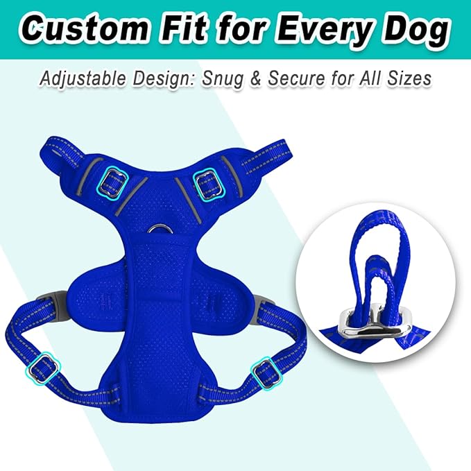 BARKBAY Dog Harness No Pull Mesh for Small Dogs - Adjustable, Reflective, Comfortable, No Choke, Heavy-Duty - Perfect for Outdoor Training, Walking, and Hiking-Strong&Durable- XS & Sapphire Blue Mesh