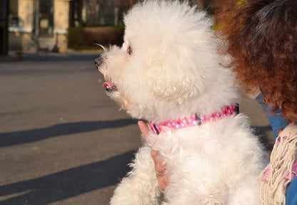 Mihqy Dog Collar - Adjustable Heart Dog Collar - Love Theme - Perfect for Small Medium Large Dogs(Pink Heart,S)