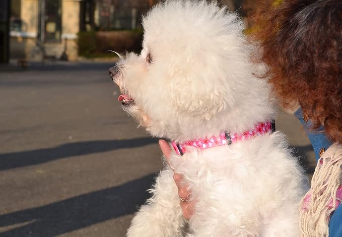 Mihqy Dog Collar - Adjustable Heart Dog Collar - Love Theme - Perfect for Small Medium Large Dogs(Pink Heart,M)
