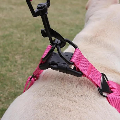 Dog Harness and Leash Set, Adjustable Triangle, Reflective Adjustable Puppy Vest, No Pull Soft Mesh Harness for Small, Medium Dogs, Cats (Fuchsia, XL)