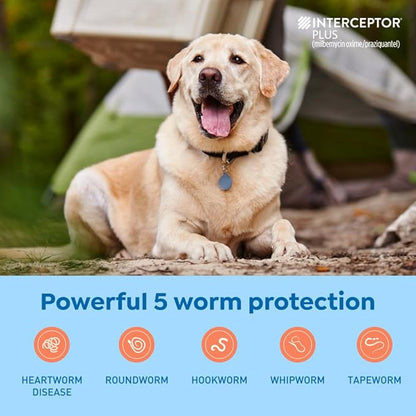 Interceptor Plus Prevention for Heartworm + 4 Other Worms for Dogs 50.1-100 lbs. | 6 Chews, 6-Month Supply