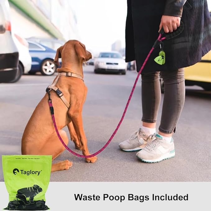 Taglory Rope Dog Leash 5 FT with Comfortable Padded Handle, Highly Reflective Threads Leash and Anti-Tangle Clip for Walking Small Dogs, 3/8 inch, Hotpink