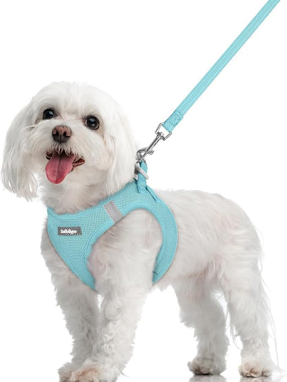rabbitgoo Dog Harness Small Sized and Leash Set, Step in Soft Light Puppy Vest, Breathable Mesh Pet Harness, Reflective for Safe Easy Walking, Mint Blue M