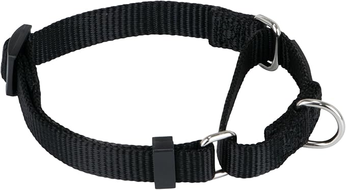 Hyhug Martingale Collar for Dogs Small Black |Escape - Proof Heavy Duty Nylon Durable No Buckle, Ideal for Training & Daily Walks