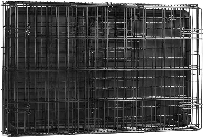 Amazon Basics Portable Metal Wire Dog Crate with Removable Tray, Single Door with Divider Panel, Foldable, Collapsible, Easy to Assemble & Clean, 36" x 23" x 25", Black