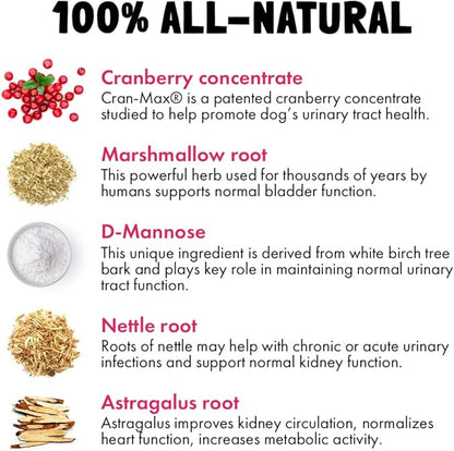 Cranberry UTI Chews for Dogs Bladder Support + D-Mannose Supports Kidney Urinary Tract and Bladder Health Natural Cranberry Wellness Supplement Immune System Booster Natural Pet Antioxidant 30 Chews