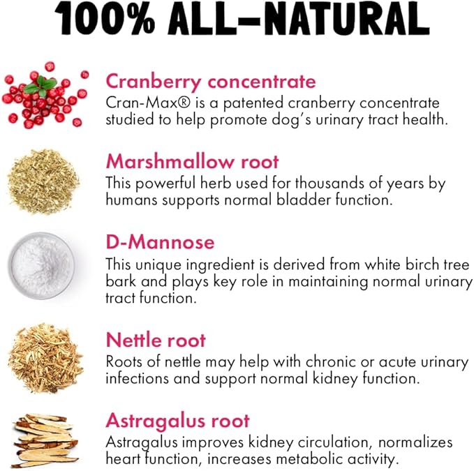 Cranberry UTI Chews for Dogs Bladder Support + D-Mannose Supports Kidney Urinary Tract 30 Chews and Calming Hemp Treats for Dogs Made in USA with Organic Hemp 120 Chews