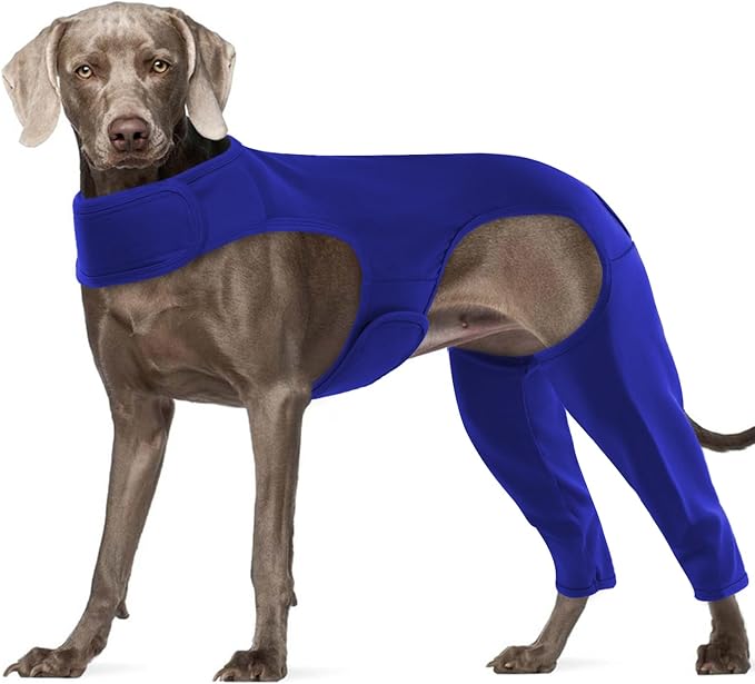 ROZKITCH Dog Body Suit Open Male Rear for Right Left Leg, Pet Prevent Licking Wound Elbow Protector, Dog Recovery Suit Cone Collar Alternative for Sprain ACL CCL Arthritis Joint Care Blue 2XL