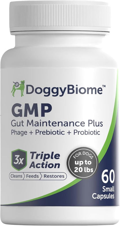 AnimalBiome Gut Maintain Multi-Strain Probiotics for Small Dogs (60 Capsules) – Triple-Action Phage, Prebiotics & Probiotic Dog Supplements for Digestive Health, Gut Health for Dogs Under 21 Pounds