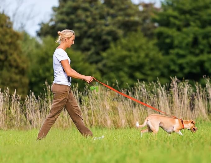 Taglory 16-24" Dog Collar & 4 FT Leash Set, Reflective, Adjustable, Safety Locking Buckle for Large Dogs
