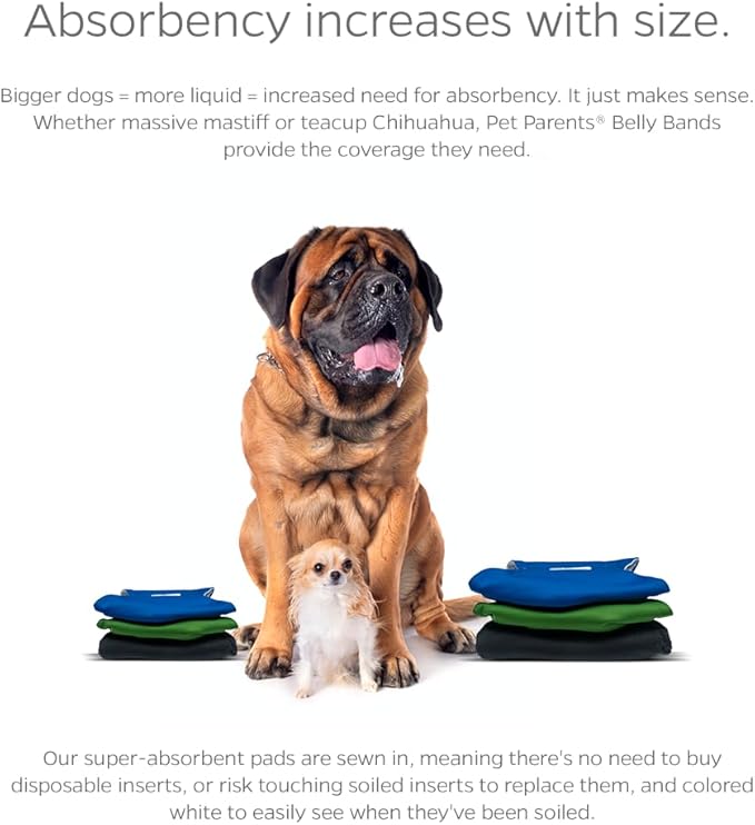 Pet Parents Washable Belly Bands for Dogs (3pack) + Extendrs Durable Dog Diapers & Wraps (X-Small, Gentlemen)