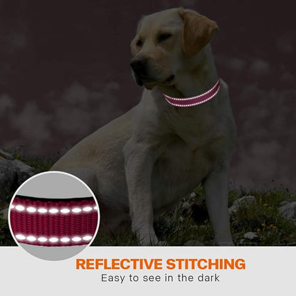 Taglory 16-24" Length, 1" Wide Dog Collar and Leash Set, 1/2" x 6 FT Highly Reflective Threads Dog Leash for Medium and Large Dogs,Hotpink