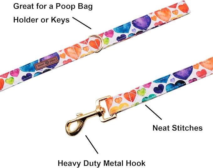 Lionet Paws Valentine's Day Dog Leash & Collar Set - Matching, Adjustable for Small to Large Dogs