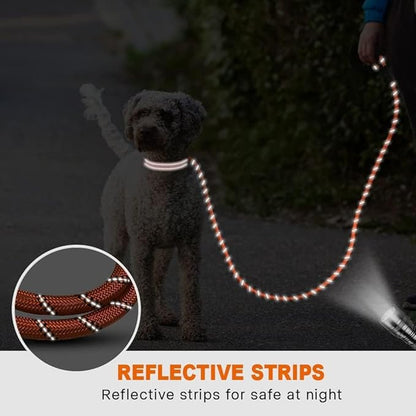 Taglory Rope Dog Leash 6 FT with Comfortable Padded Handle, Highly Reflective Threads Leash and Anti-Tangle Clip for Walking Small Dogs, 3/8 inch, Orange