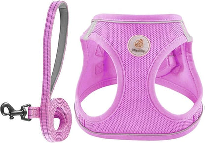 Hipubby Dog Harness and Leash Set, No Pull Soft Mesh Puppy Harness for Small Medium Dogs, Cats - Step in Reflective Breathable Lightweight Vest Harness for Walking, Training - Purple, S