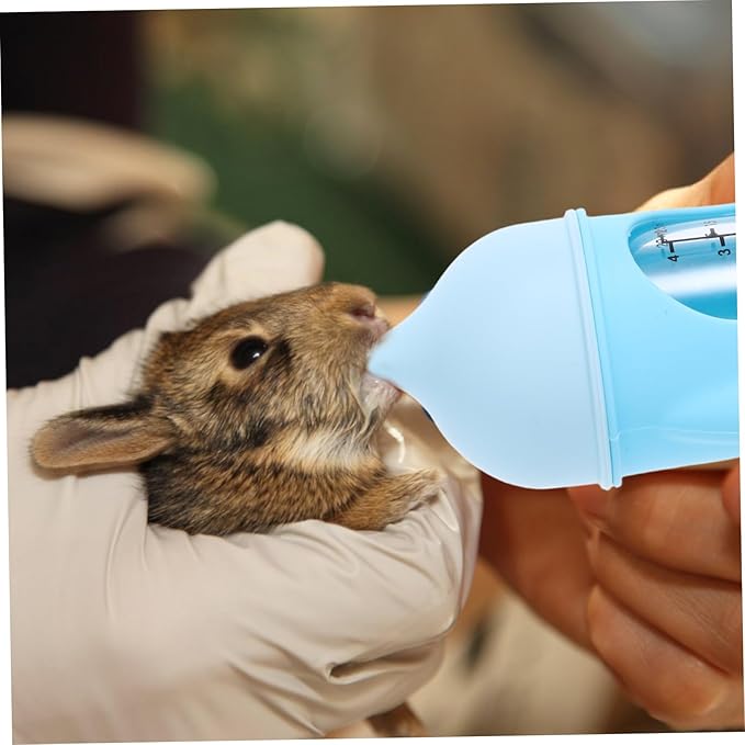 Hemoton Mini Pet Feeder Kitten Nipples Portable Nursing Bottle for Newborn Kitten Milk Feeder Measurement