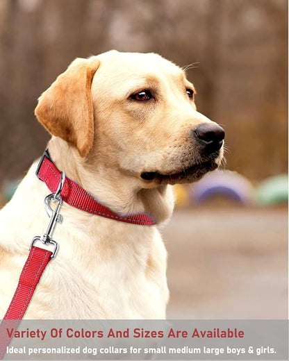 Reflective Dog Collar with Buckle Adjustable Safety Nylon Collars for Small Medium Large Dogs, Red XL