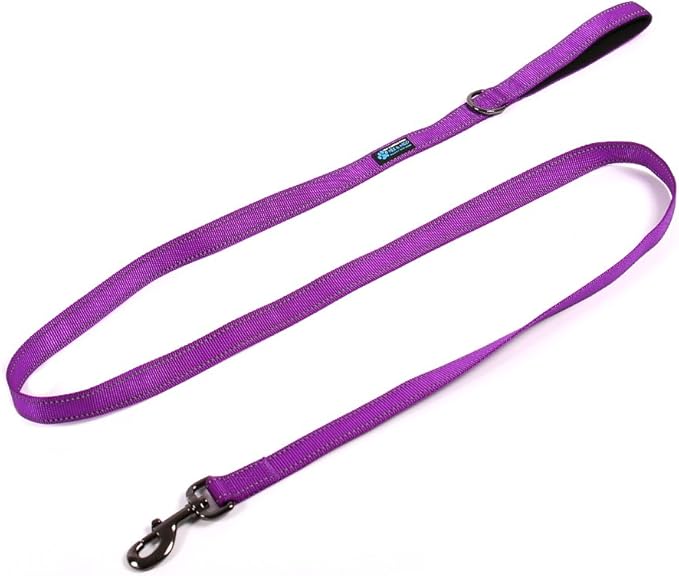Max and Neo Reflective Nylon Dog Leash - We Donate One for Every Sold (Purple, 6ft)