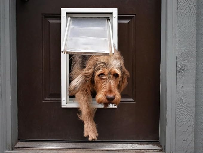 Endura Flap Double Flap Pet Door for Door Installations | Stylish for Interior & Exterior Doors | Durable Aluminum Frame & Weatherproof Dual-Layer Flap | White, Medium, Double Flap