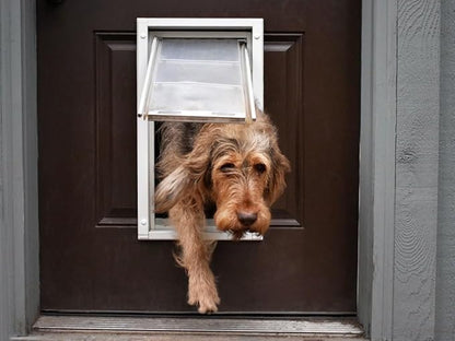 Endura Flap Double Flap Pet Door for Door Installations | Stylish for Interior & Exterior Doors | Durable Aluminum Frame & Weatherproof Dual-Layer Flap | White, Medium, Double Flap