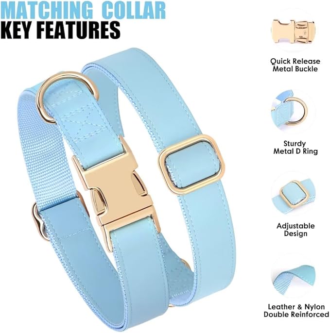 PET ARTIST Soft PU Leather Dog Collar and Leash Set, Bright & Stylish 5FT PU Leather Leash and Collar Set, Durable Pet Collars with Quick Release Metal Buckle for Small Dogs,Blue,S(9"-14")