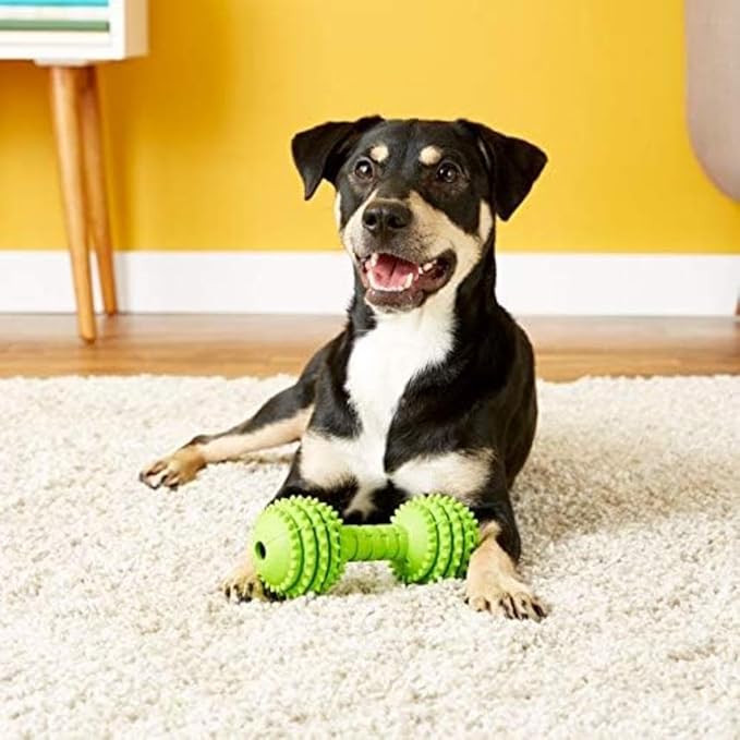 JW Pet Chompion Heavyweight Dog Chew Toy for Small Breeds, Assorted Colors