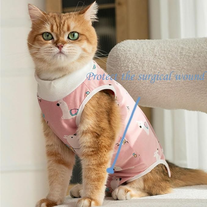 Cat Recovery Suit Female Kitten Onesie for Cats After Surgery Female Spay Surgical Abdominal Wound Skin Diseases Cone Collar Soft Alternative Wear (Alpaca, M)