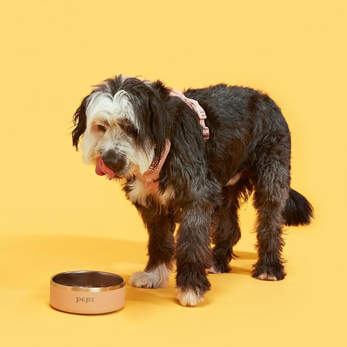 Peps Pet Food Bowl - Non-Slip & Dishwasher Safe | Stylish Blush Design for Pets