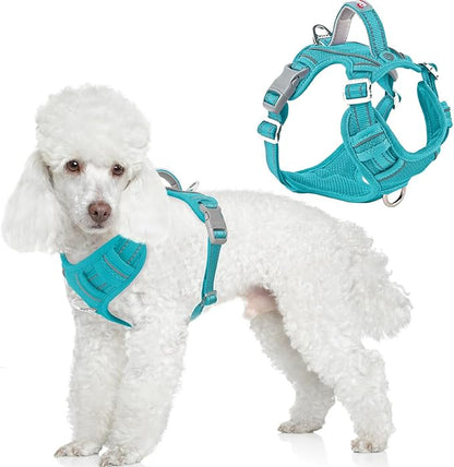 BARKBAY Dog Harness No Pull with ID Tag Pocket - Heavy Duty, Reflective, Easy Control for Large Dogs(Ocean Blue,XS)