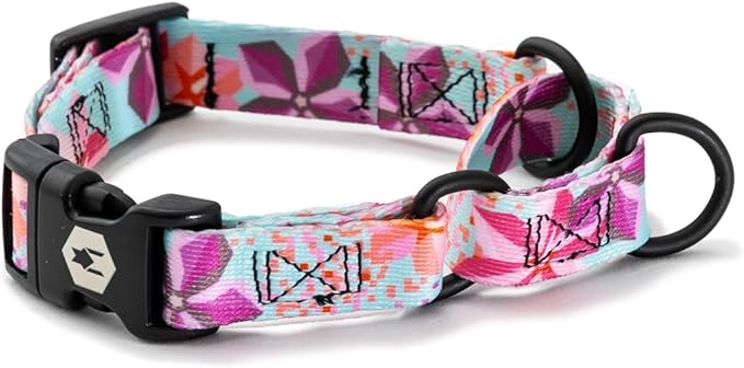 Wolfgang Heavy Duty Martingale Dog Collar with Quick Release Nylon Buckle for Walking & Training, DigiFloral Print, Small