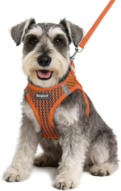 Eagloo Small Dog Harness and Leash Set, Step in Puppy Vest with Breathable Soft Mesh, Walking Reflective Pet Harness for Small Dogs, Orange, S