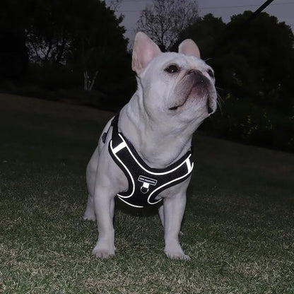 Dog Harness and Leash Set, Adjustable Triangle, Reflective Adjustable Puppy Vest, No Pull Soft Mesh Harness for Small, Medium Dogs, Cats (Black, XL)