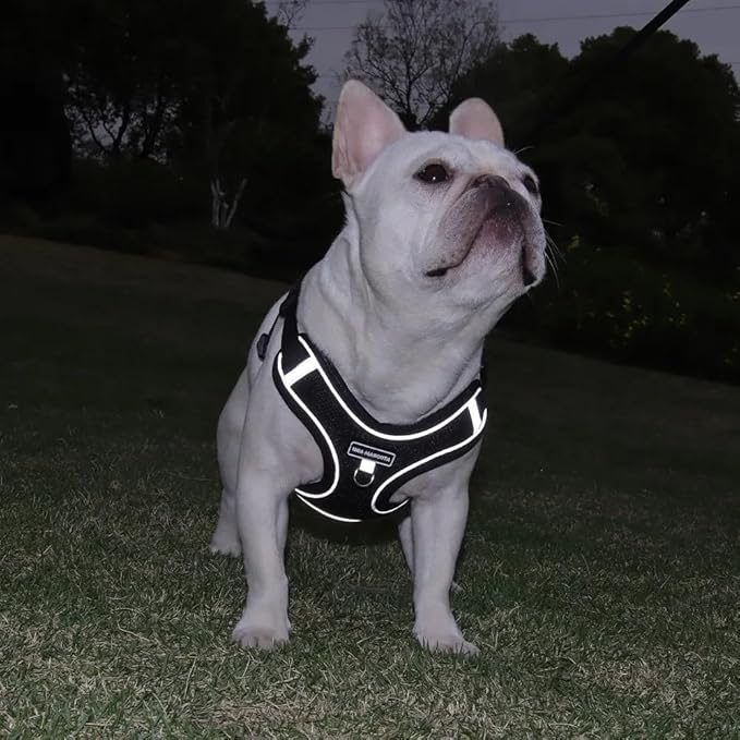 Dog Harness and Leash Set, Adjustable Triangle, Reflective Adjustable Puppy Vest, No Pull Soft Mesh Harness for Small, Medium Dogs, Cats (Black, L)