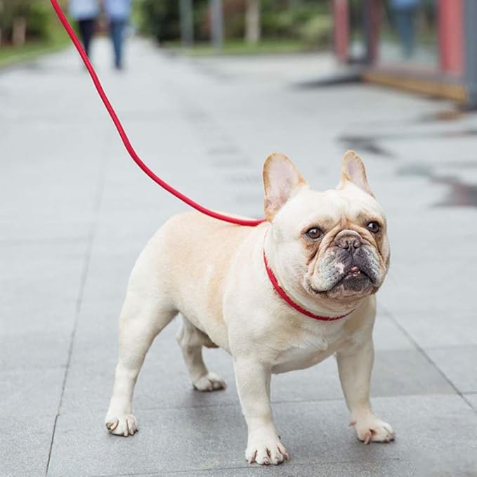 BTINESFUL 7ft Slip Lead Dog Leash, Strong Nylon Rope Leash, 1/4" Dog Training Lead for Small Medium Dogs, 14+ Colors (1/4" * 7 FT, Red)