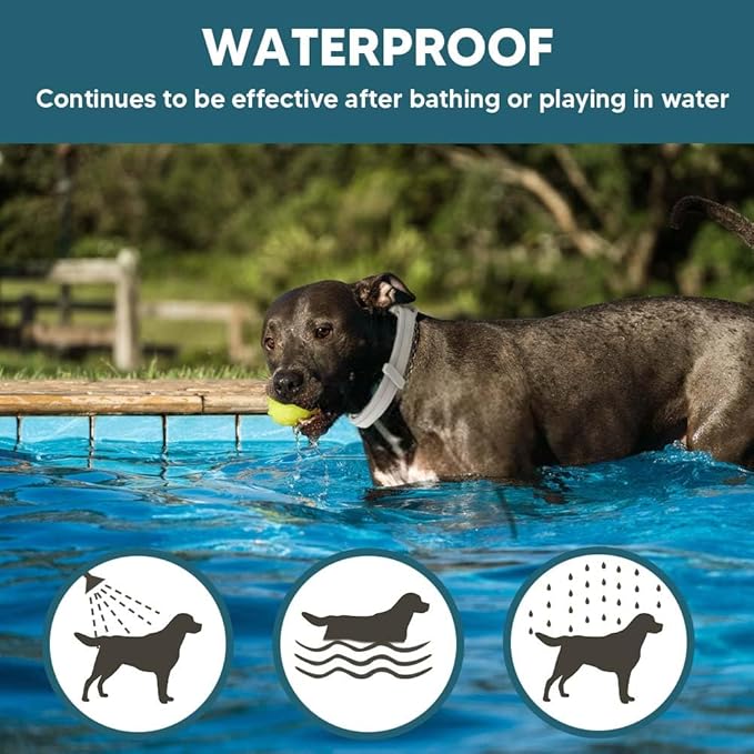 NJKPUYT Flea Collar for Dogs, Tick and Flea Collar for Dogs, Dog Tick Collar, Dog Flea Collars, Tick Collar for Dogs, Flea Collar for Large Dogs, Lasts Up to 8 Months, Family Friendly – 2 Pack